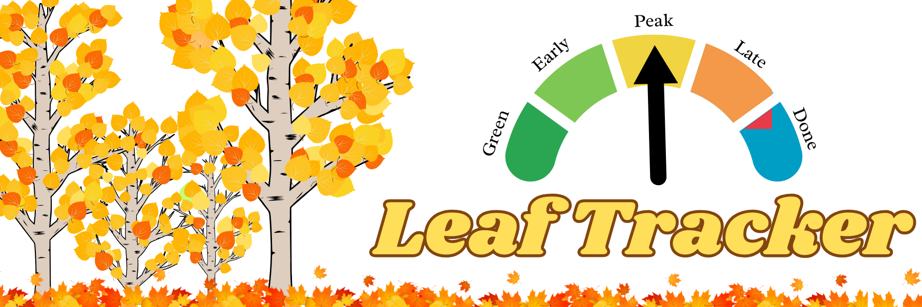 Leaf Tracker (2)