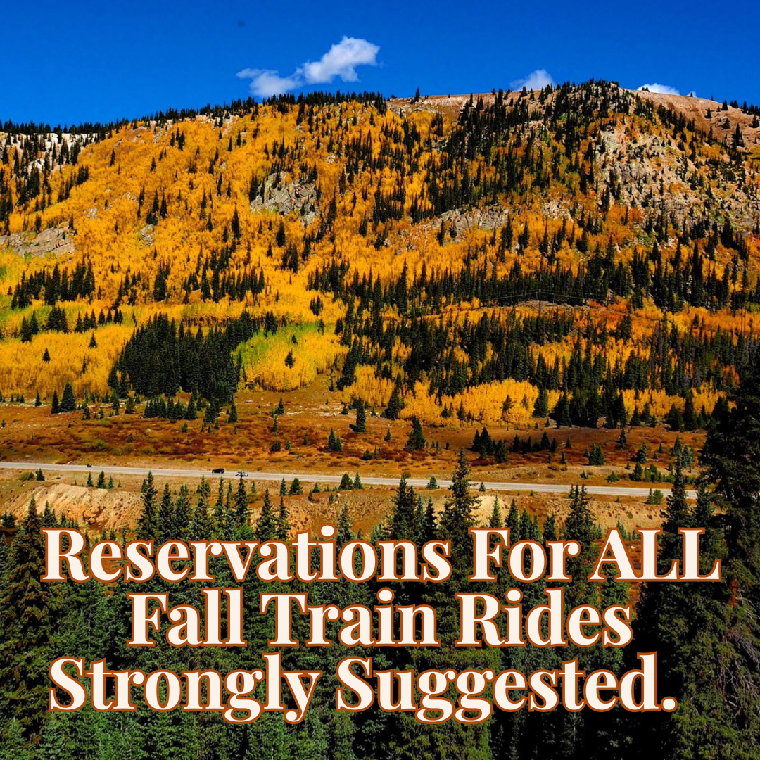 Reservations For ALL Fall Train Rides Strongly Suggested.