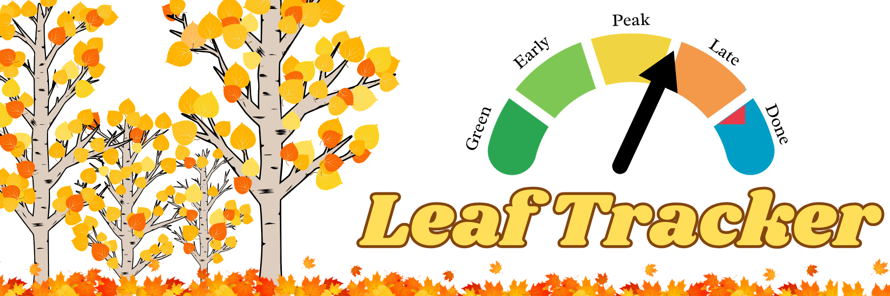 Leaf Tracker (11)