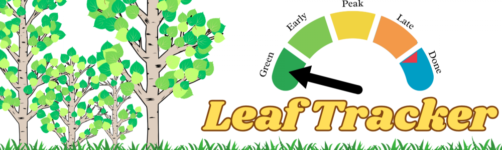 Leaf Tracker (1)