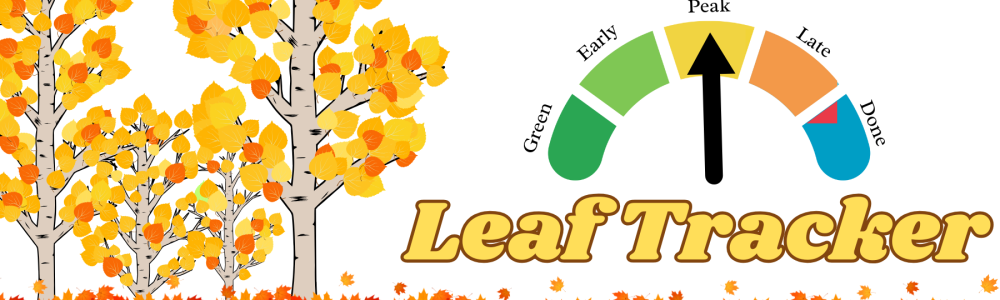 Leaf Tracker (2)