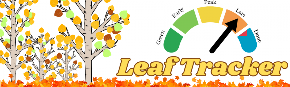 Leaf Tracker (3)